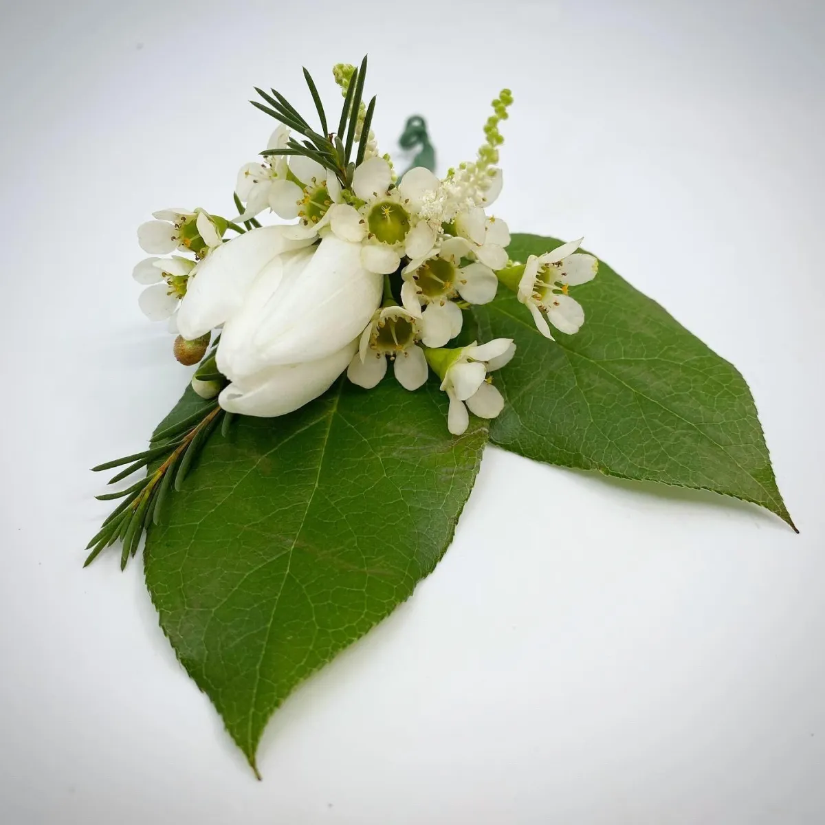 A boutonniere with a single white tulip, bits of waxflower and astilbe with lemon leaf.