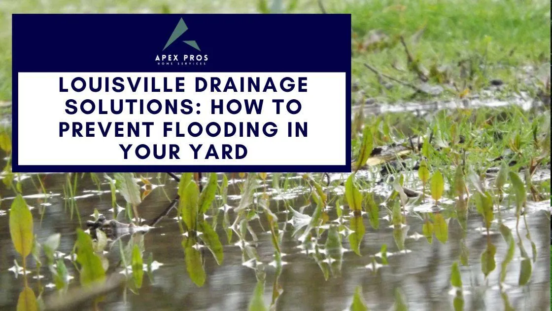 Louisville Drainage Solutions: How to Prevent Flooding in Your Yard