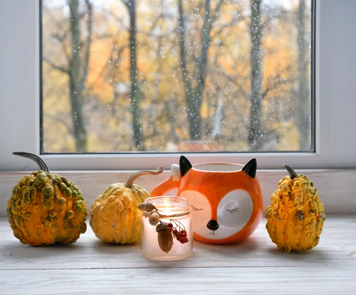 Gourds, pumpkins, fox