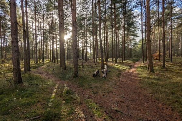 When Pressure Changes How You Lead: Why Self-Leadership Comes First