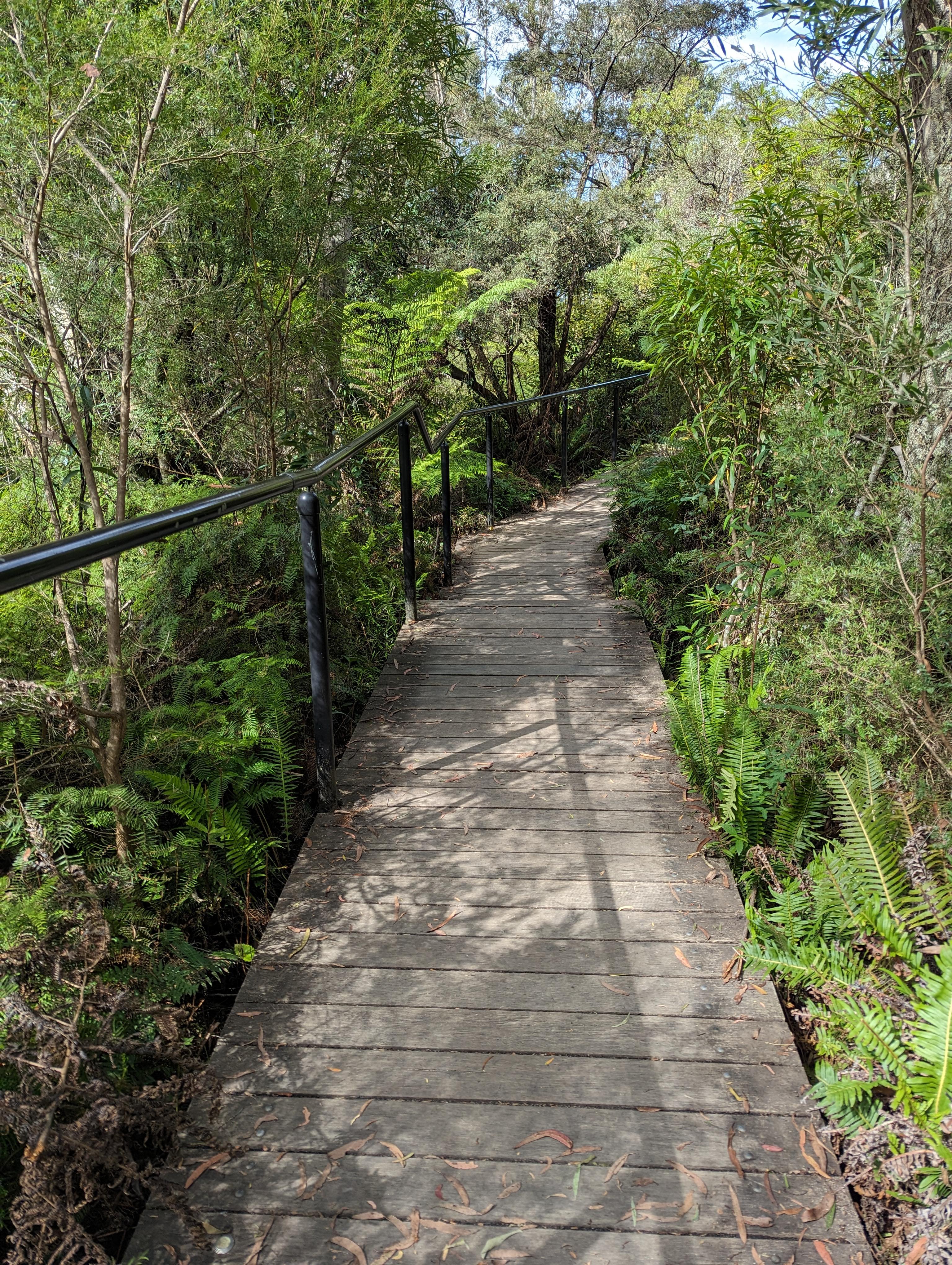 Choosing Who You Become: The Practice of Self-Leadership