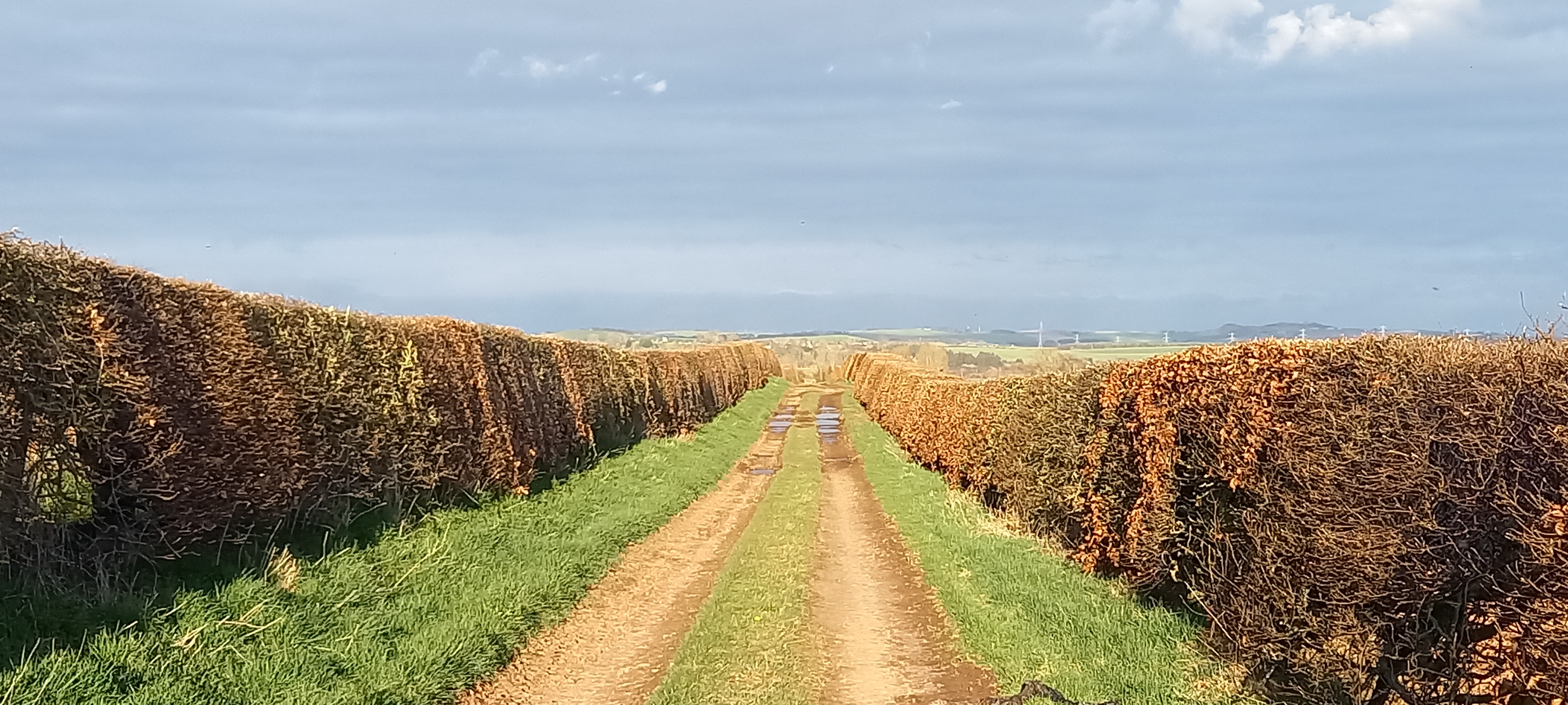 Self-Awareness Is Not Enough: The Bigger Journey of Real Leadership