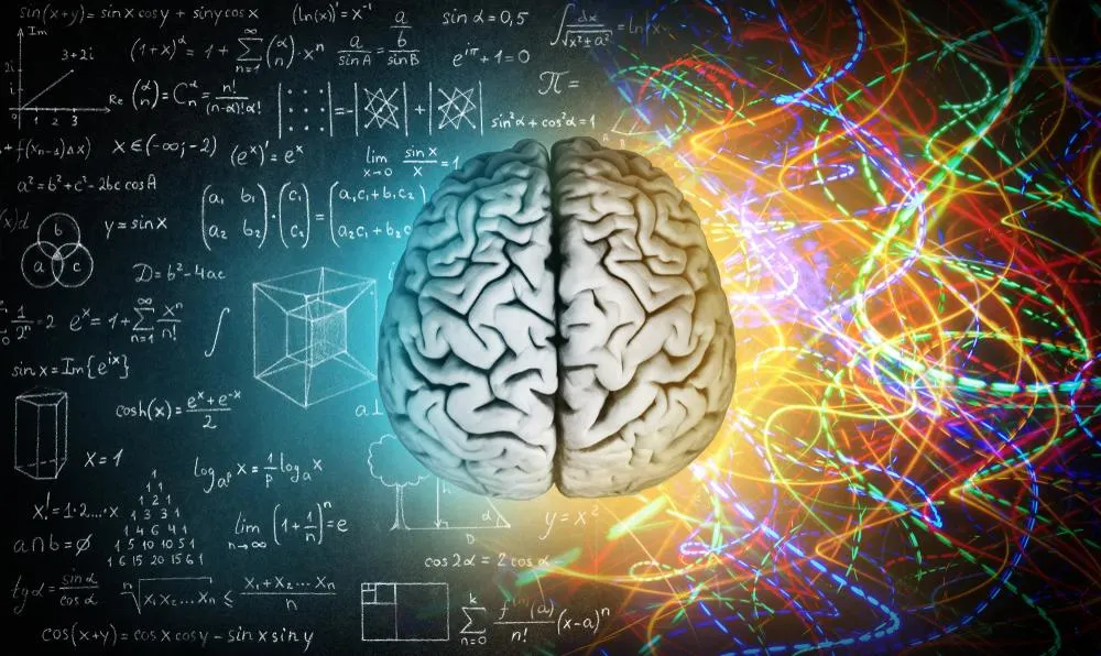 Mindset and Brain