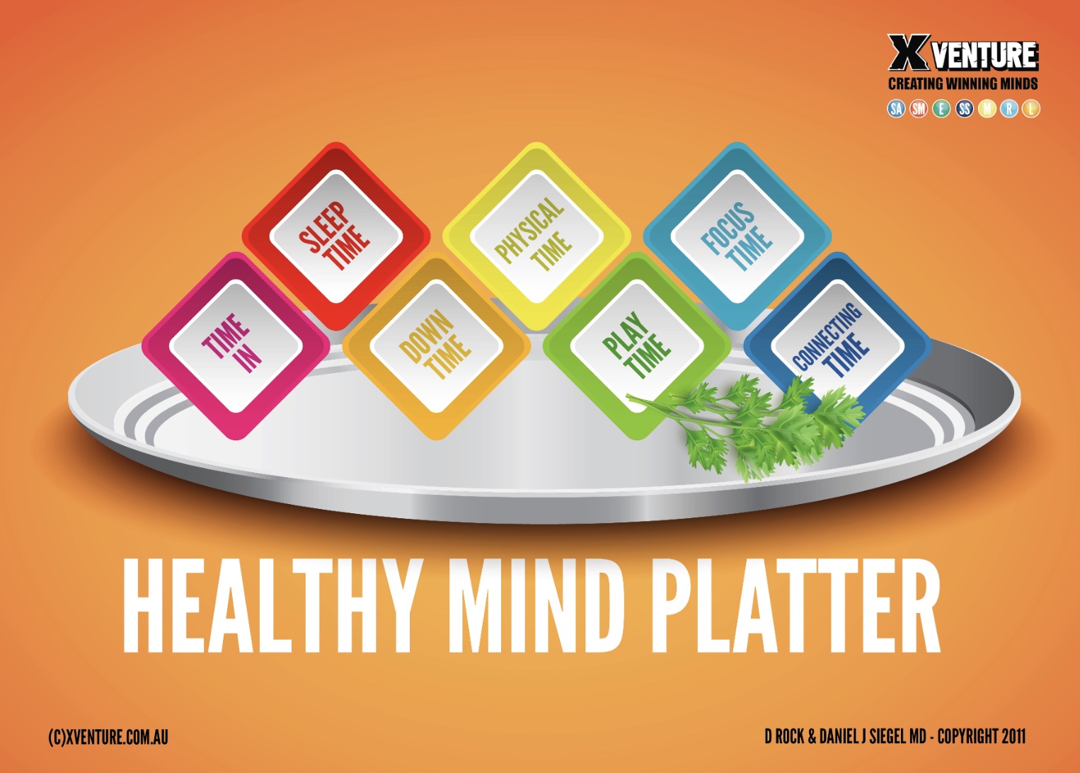 The Healthy Mind Platter - A Simple Tool for Optimising the Mind