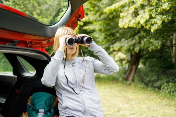 A picture of a person observing birds through binoculars or a scenic nature view.