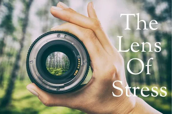 Stress: Are You Living Through the Lens of Stress Without Realising It?