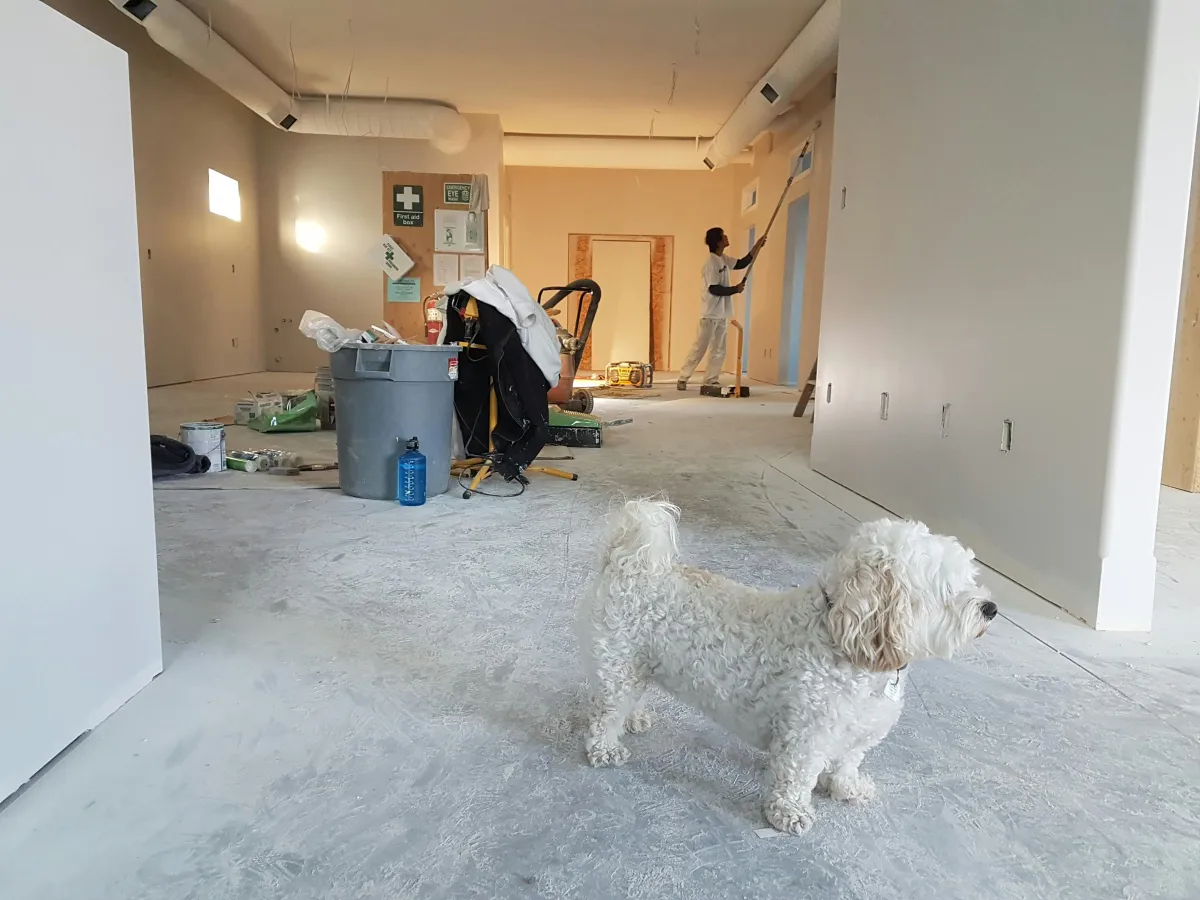 remodeling