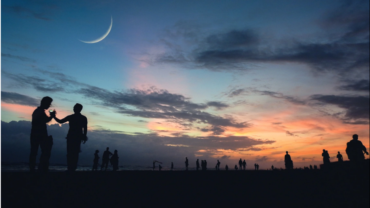 The New Moon: A Transformative Journey