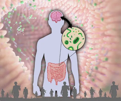 gut-brain axis