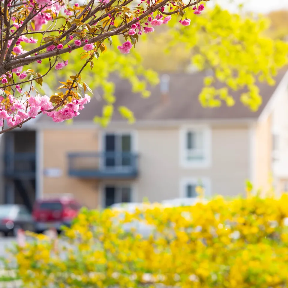 Charming spring home with blooming flowers, tidy landscaping, and a “For Sale” sign out front.