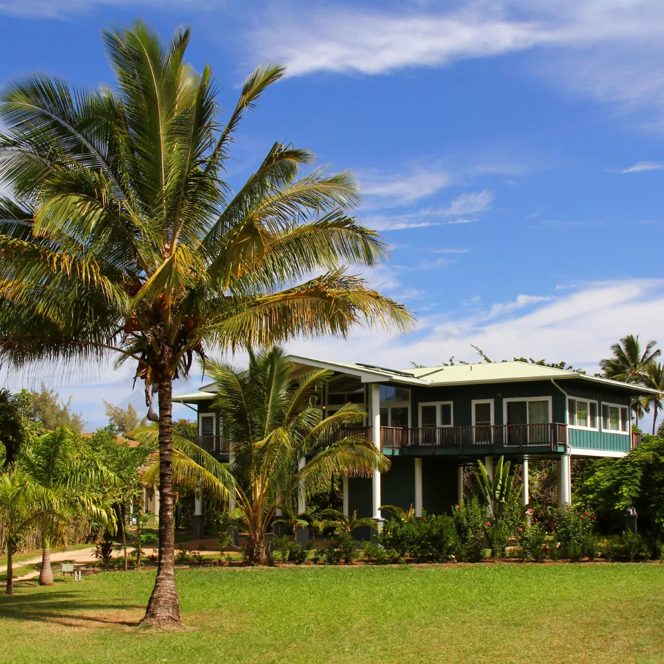 Home with mature trees in the front yard, symbolizing increased curb appeal and property value.