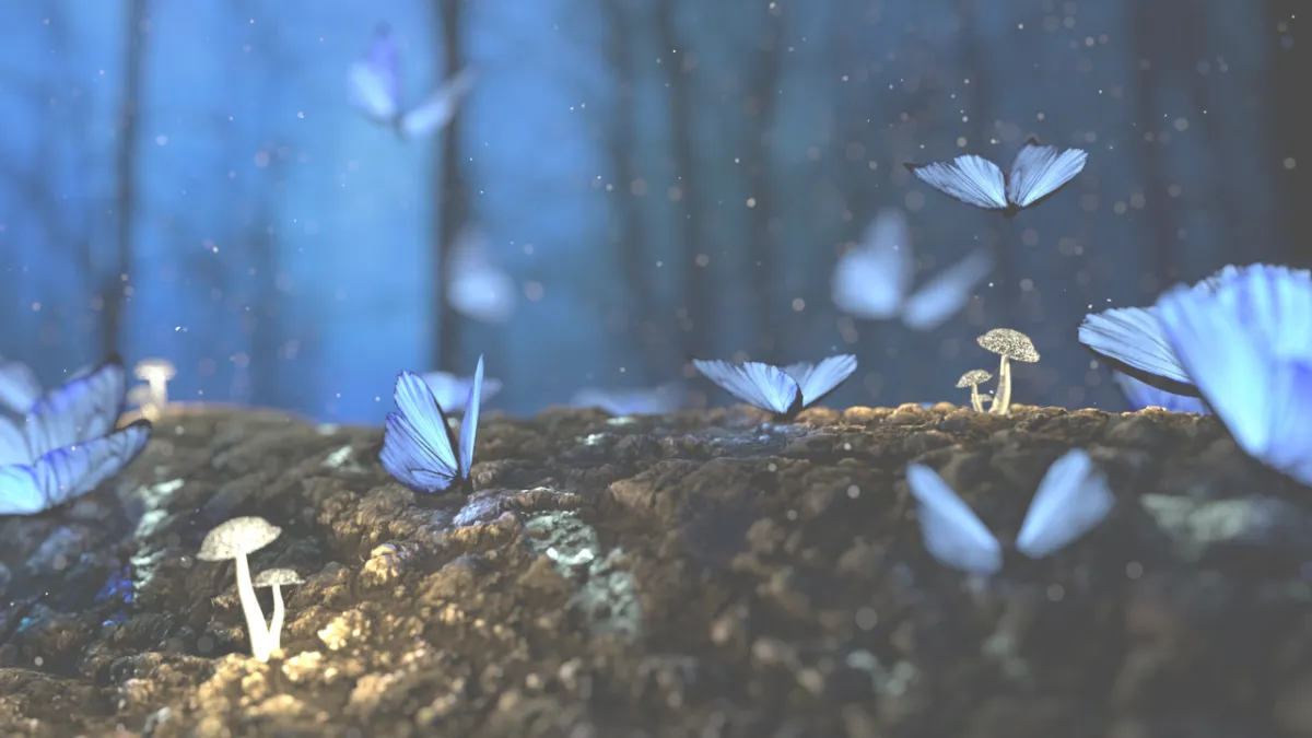 Monday Mindset: Grounding in Nature