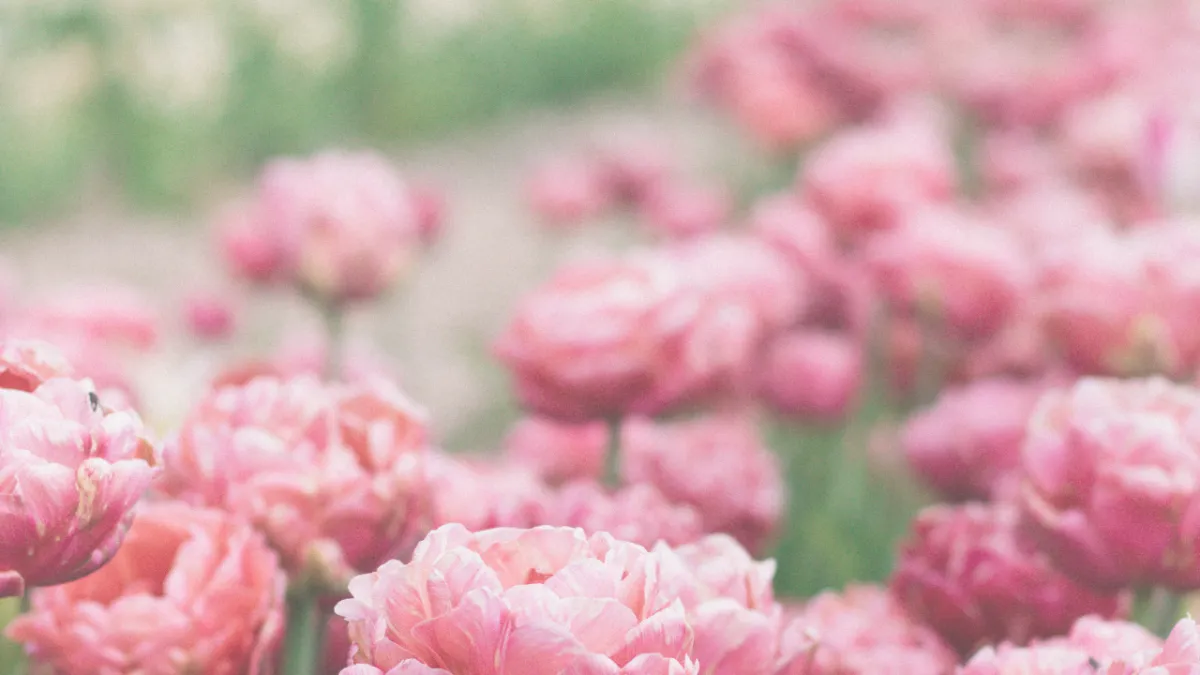 Monday Mindset: What do we do with moments of overwhelm?