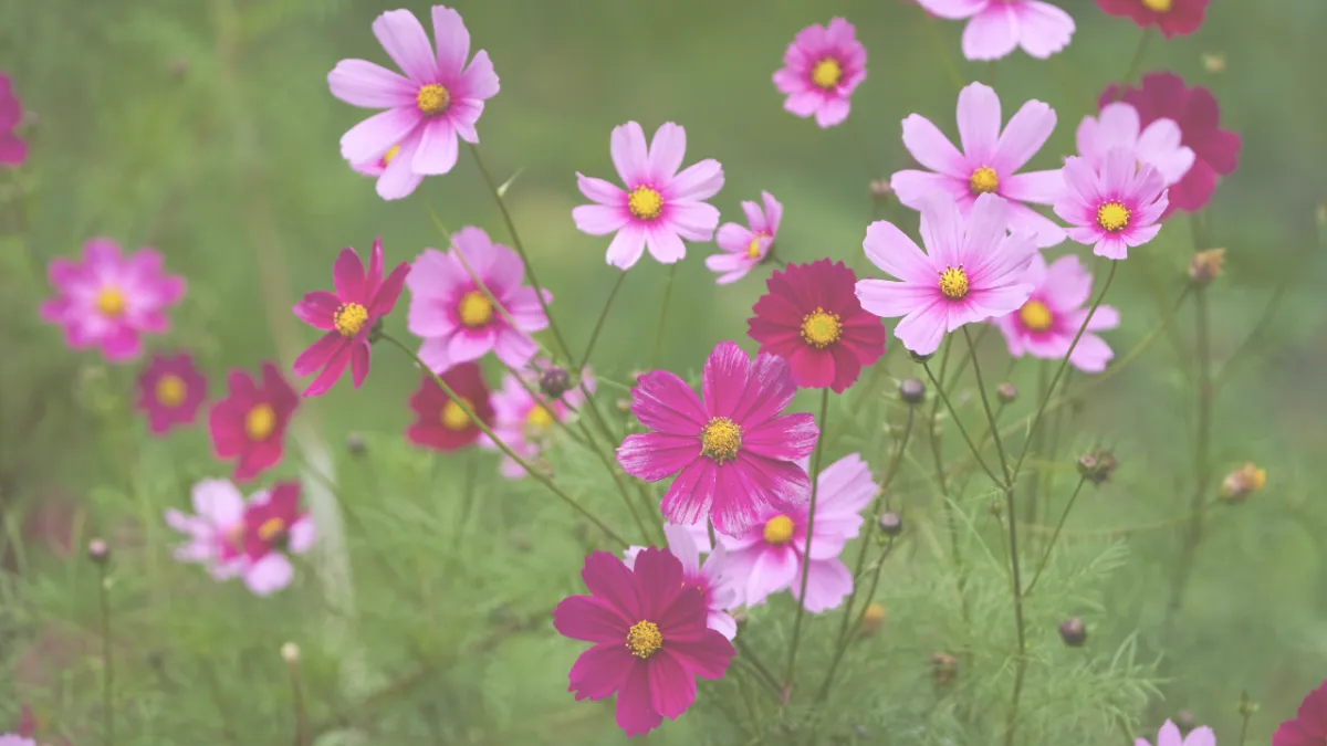 Monday Mindset: Remember, You Are Loved