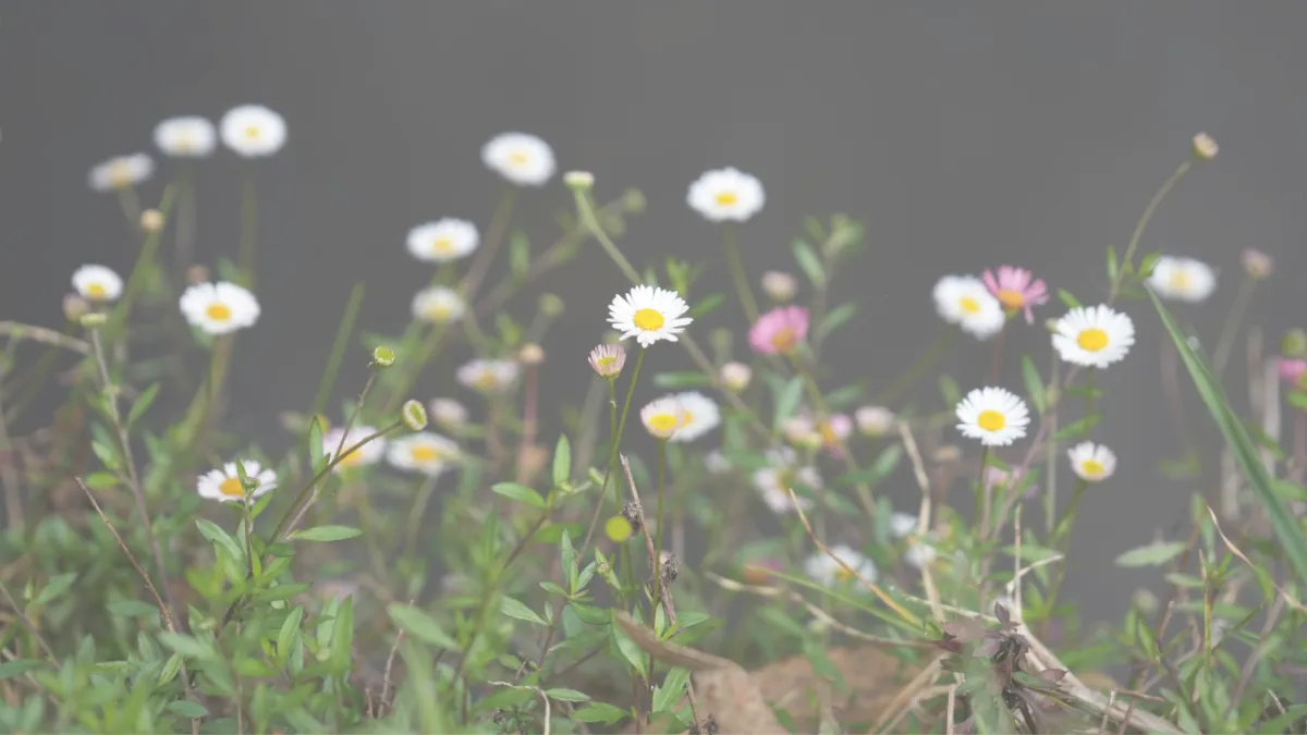 Monday Mindset: Embracing Change, Choosing Growth