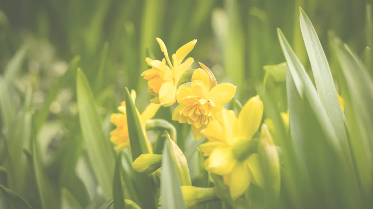 Monday Mindset: Choosing Calm, Creating Change through the practice of SURRENDER