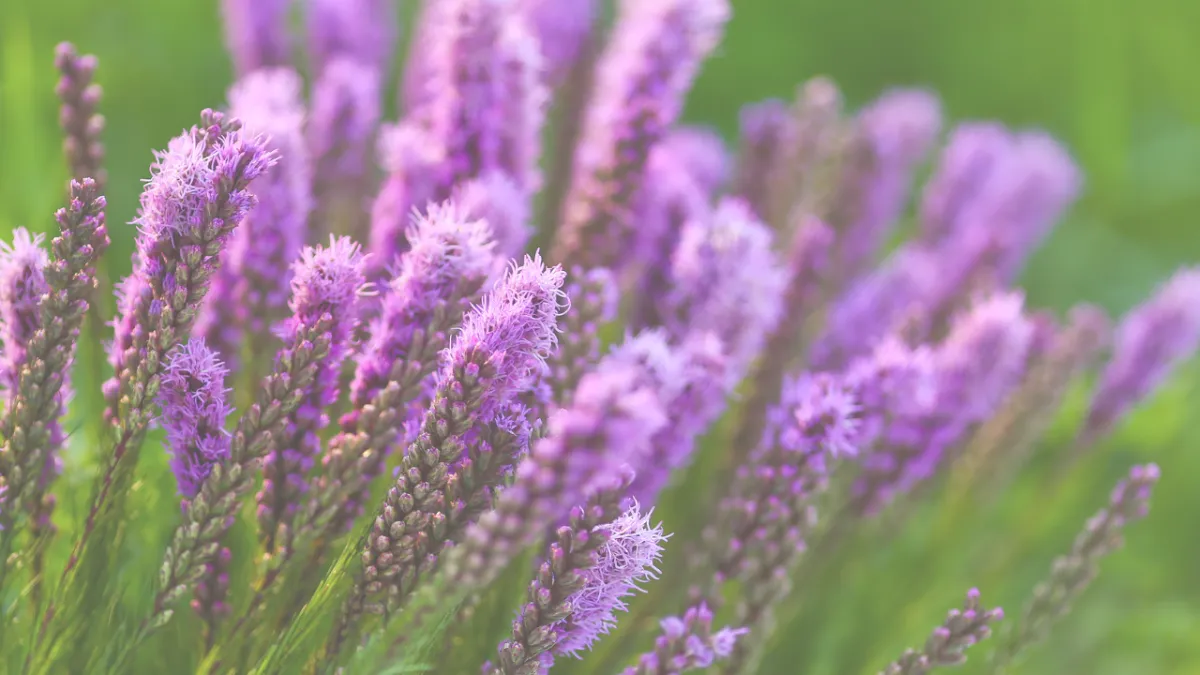 Monday Mindset: International Women’s Day – Celebrating Women