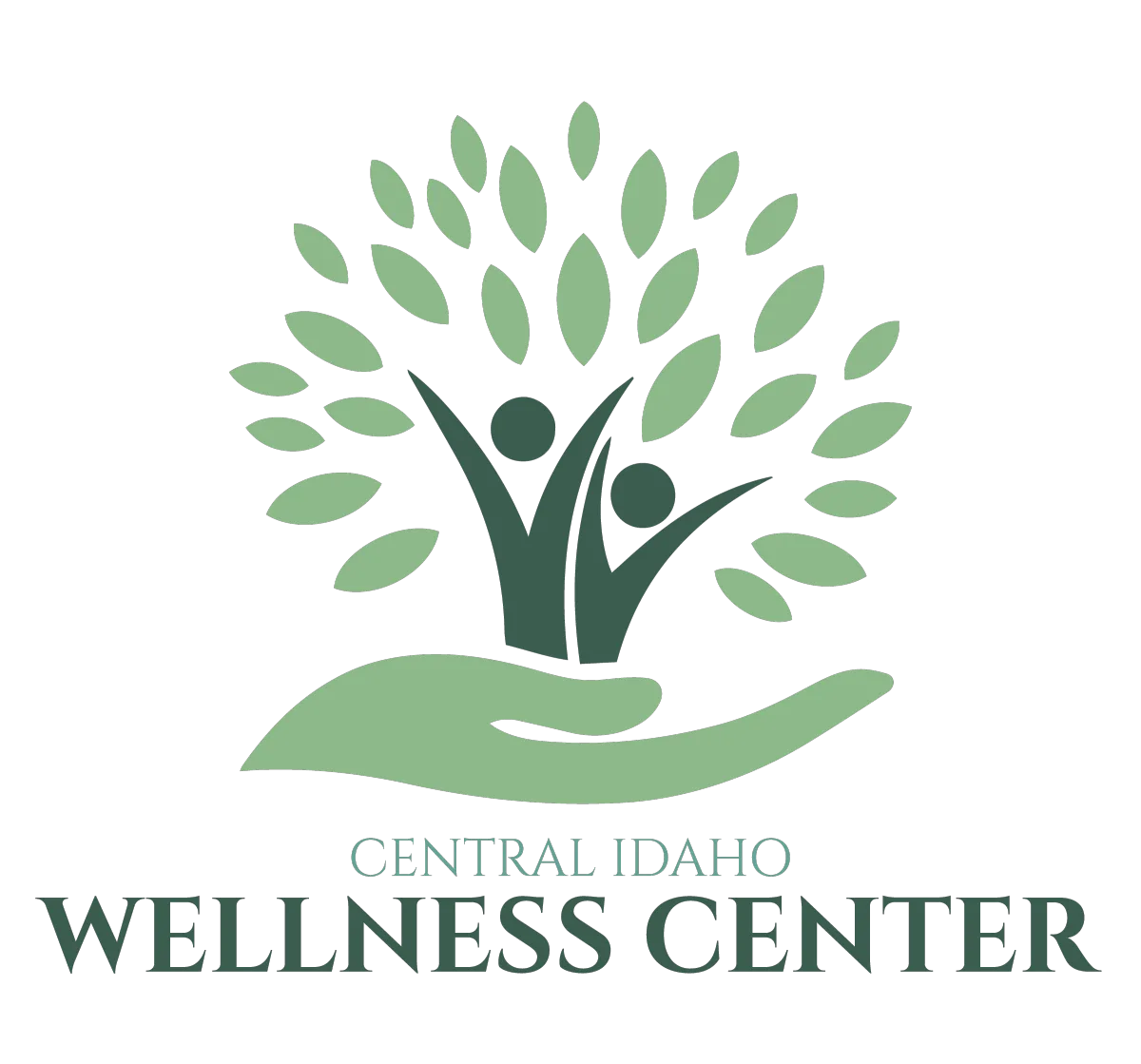 Central Idaho Wellness Center logo