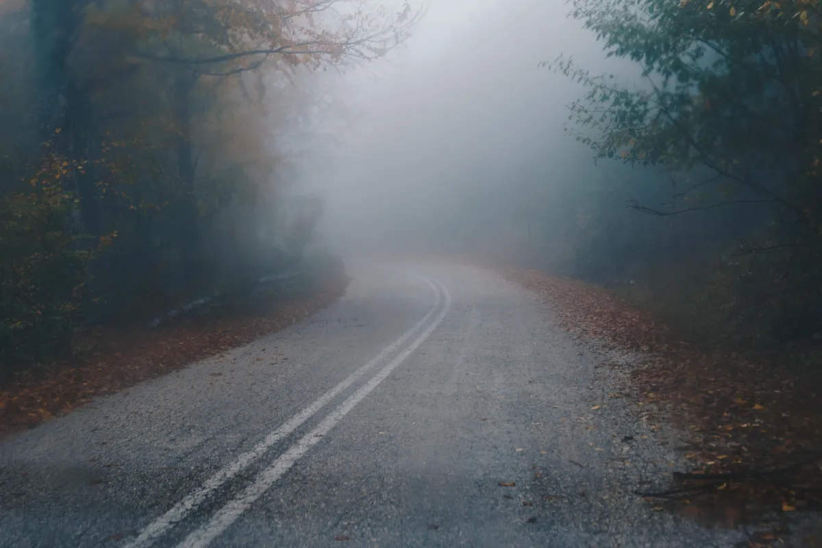  Resilience in the Unknown: Writing a New Story When Answers Don’t Come
