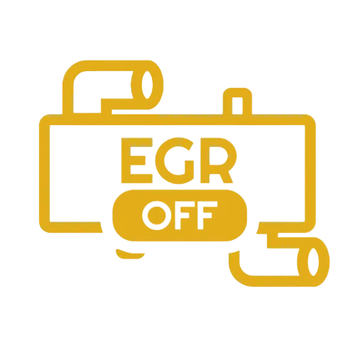EGR REMOVAL