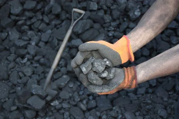 Coal in gloves