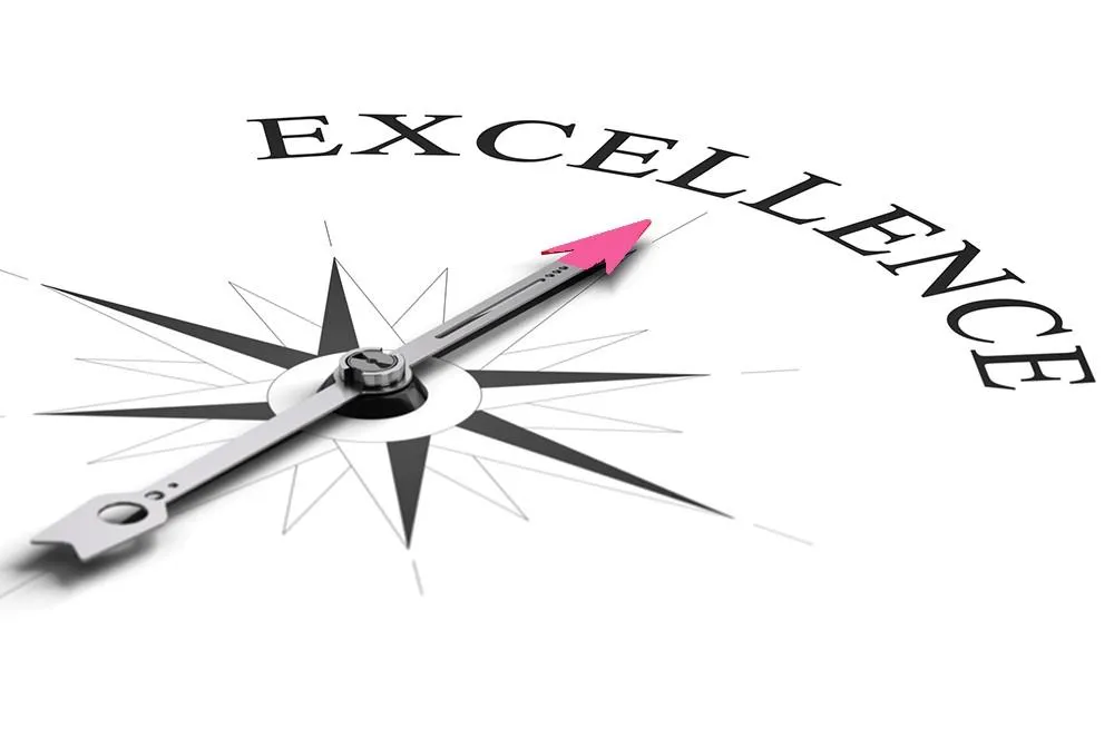 Organizational Excellence