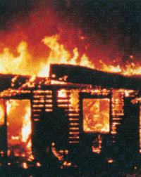 Article: Dangerous Toxic MoldThe Fire Cure 