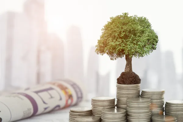 Why Financially Invest?