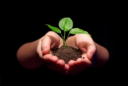 Exploring the paradox of happiness and money, with a focus on personal wealth and fulfillment.