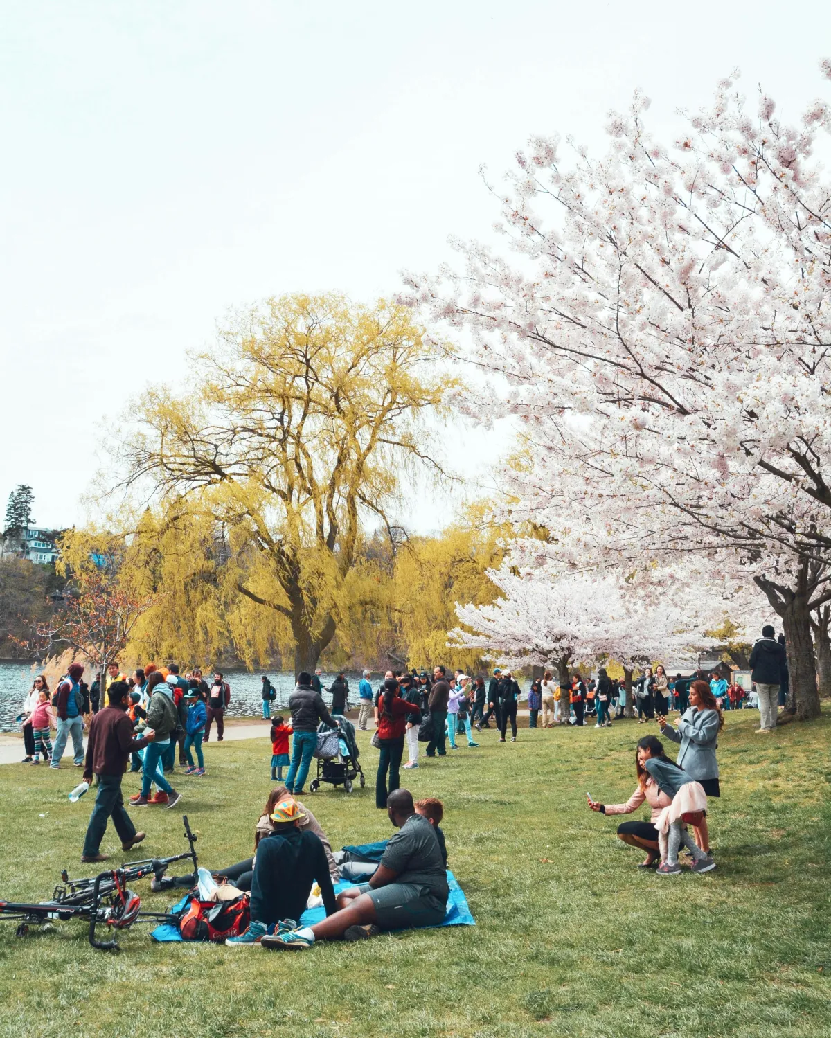 spring family events