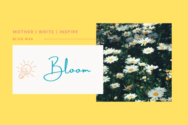 Bloom