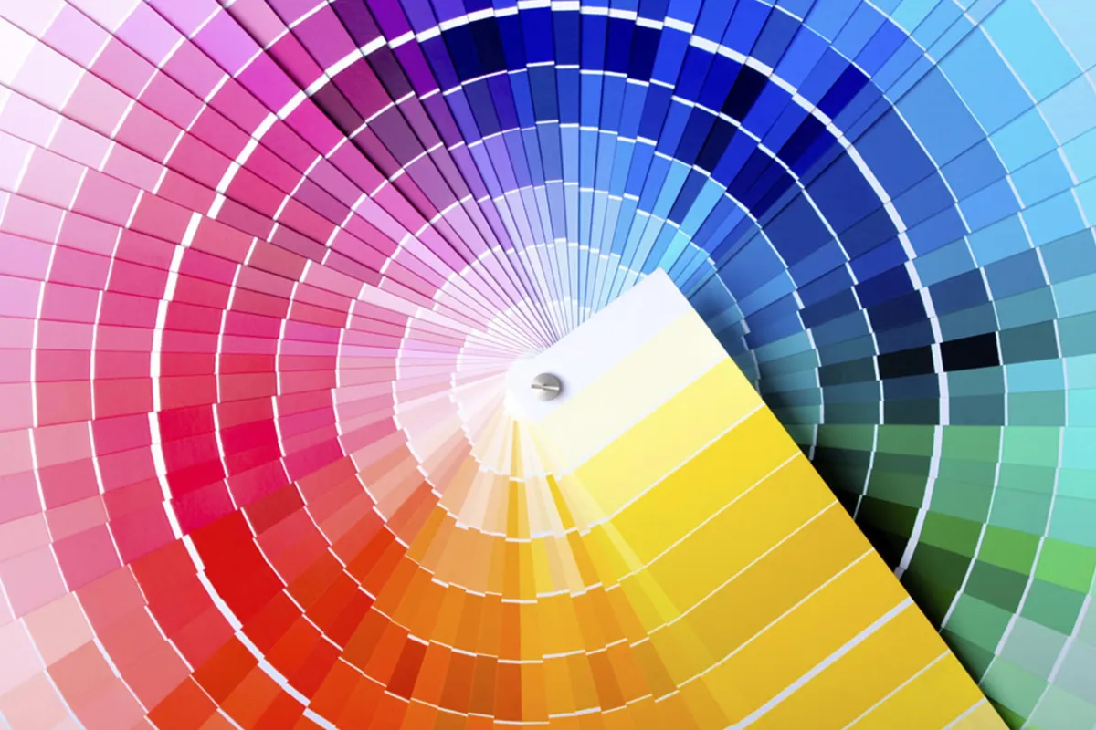 color palette