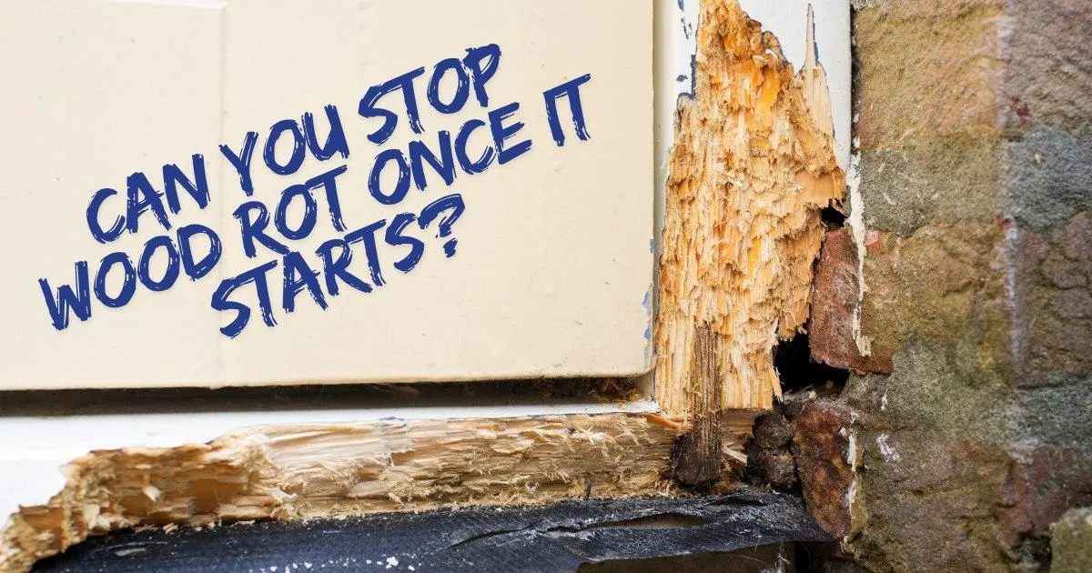 Can You Stop Wood Rot Once It Starts in Kansas City?