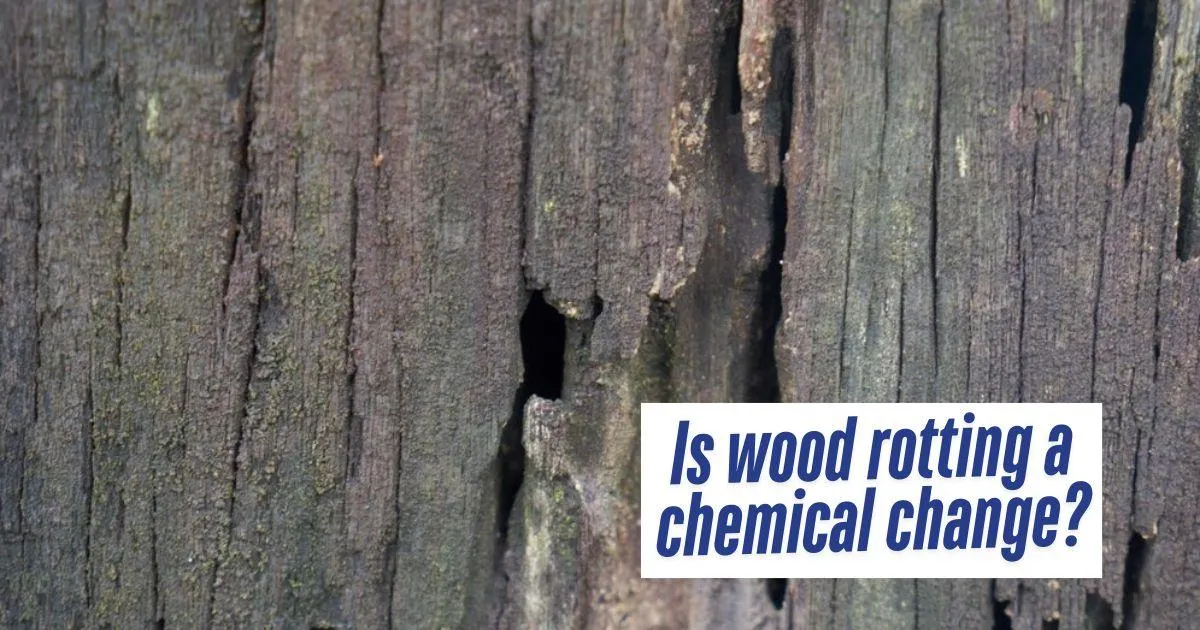 Is Wood Rot a Chemical Change? | Pileggi Painting Kansas City