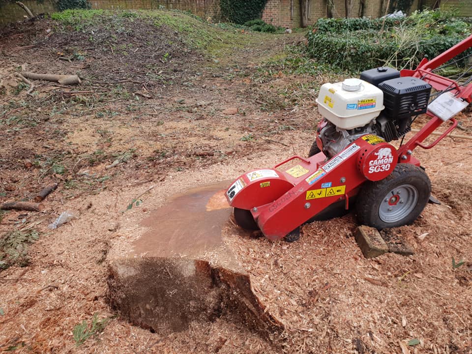 Stump grinding machine removing a tree stump and leaving woodchip mulch