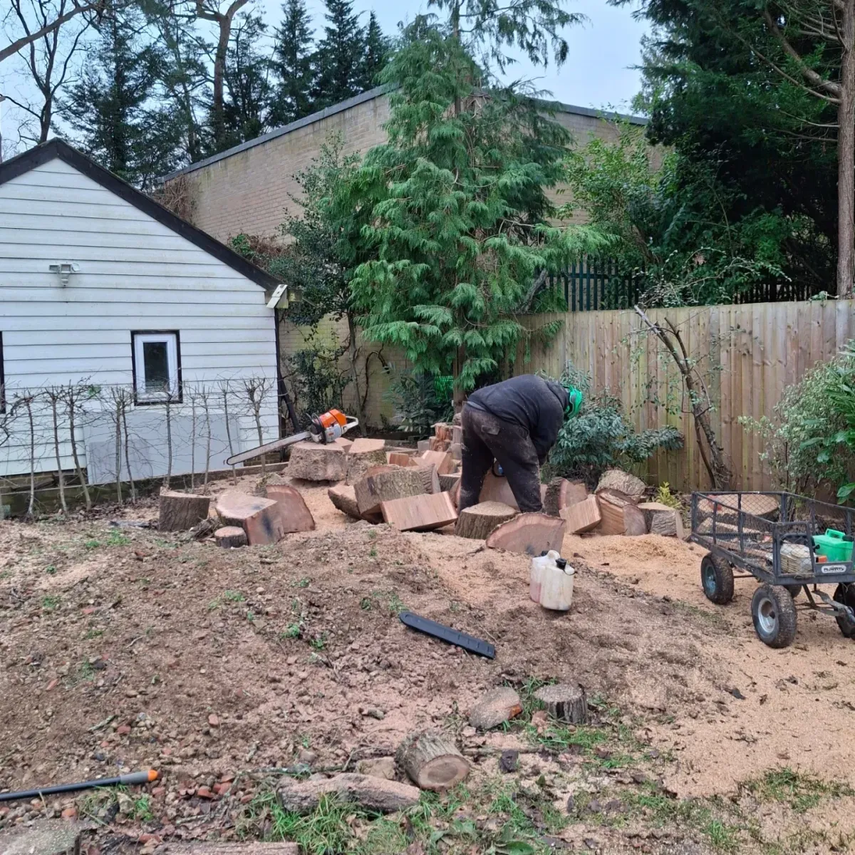 Ground worker cutting large log sections into smaller pieces in a garden