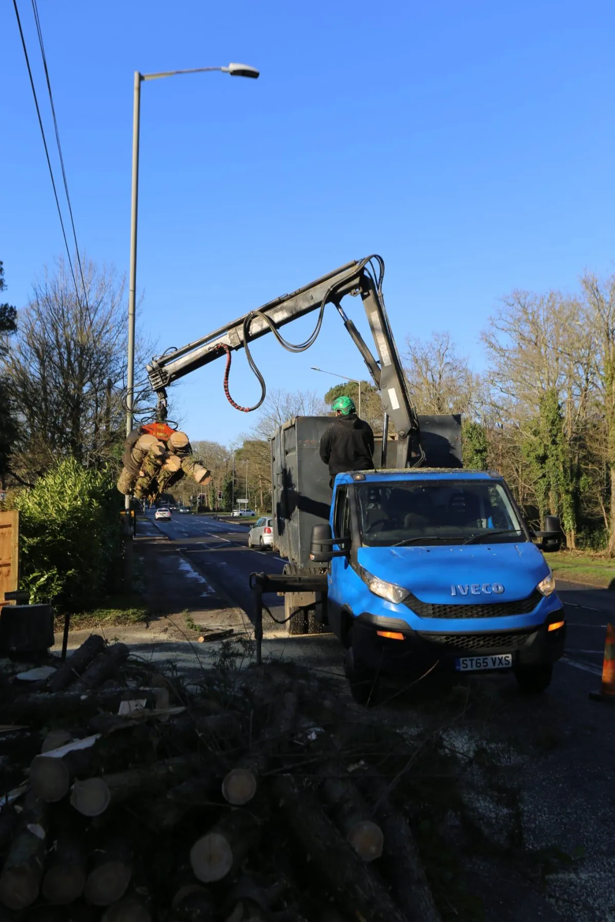 Roadside tree removal with crane lifting cut timber sections into a tipper lorry