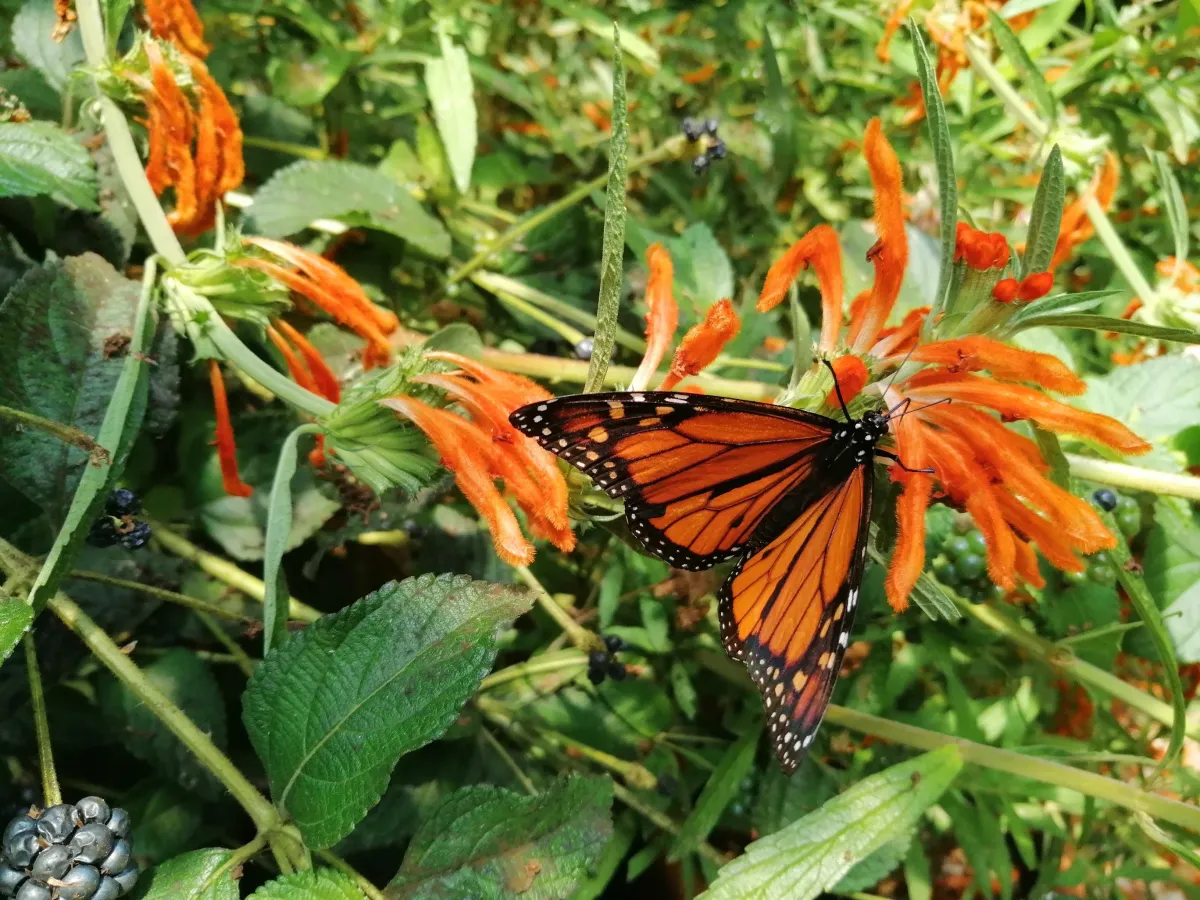 Transforming Energy