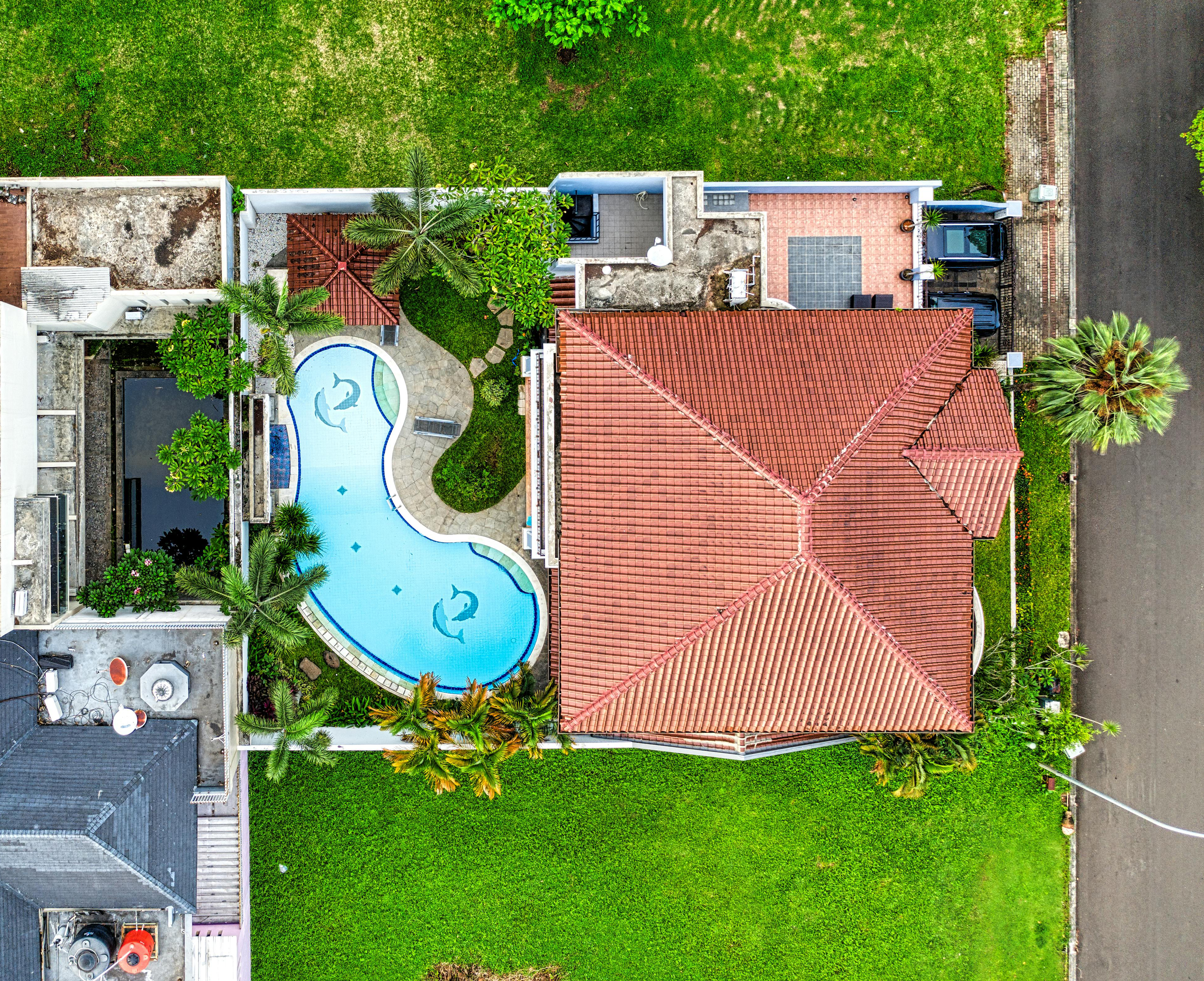 Will Growth Continue or Will It Crash?