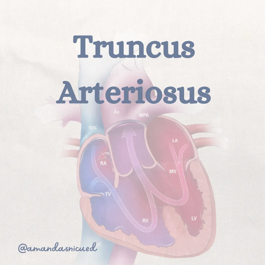 truncus arteriosus