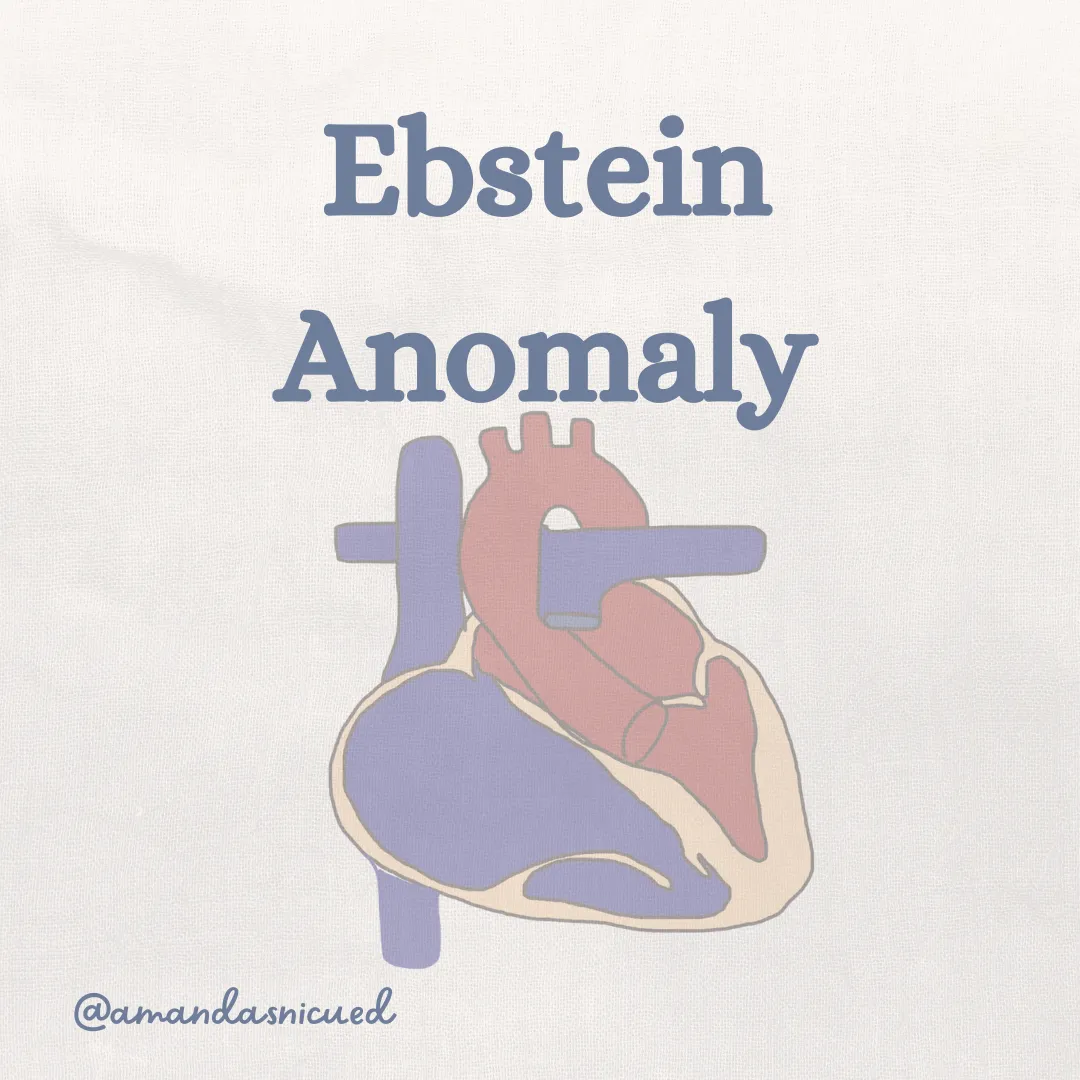 ebstein anomaly