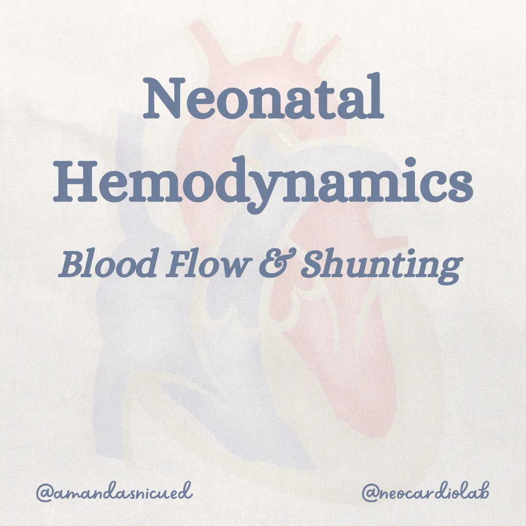 Neonatal Hemodynamics