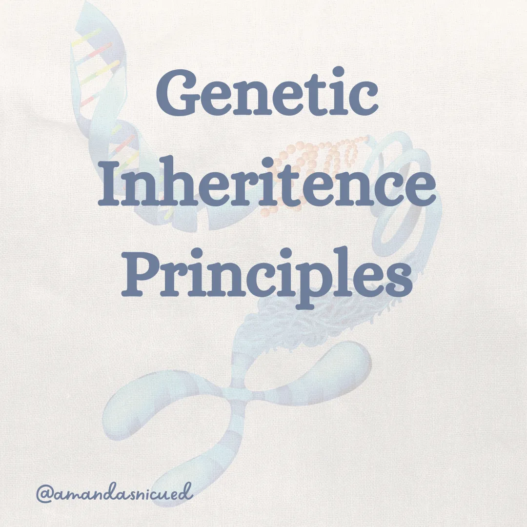 white background grey letters with genetic inheritence testing gene forming into a DNA then chromosome in the background