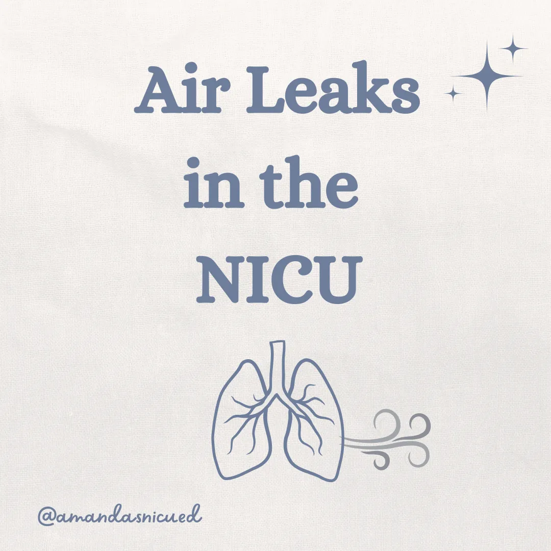 white background with grey text that says air leaks in the NICU