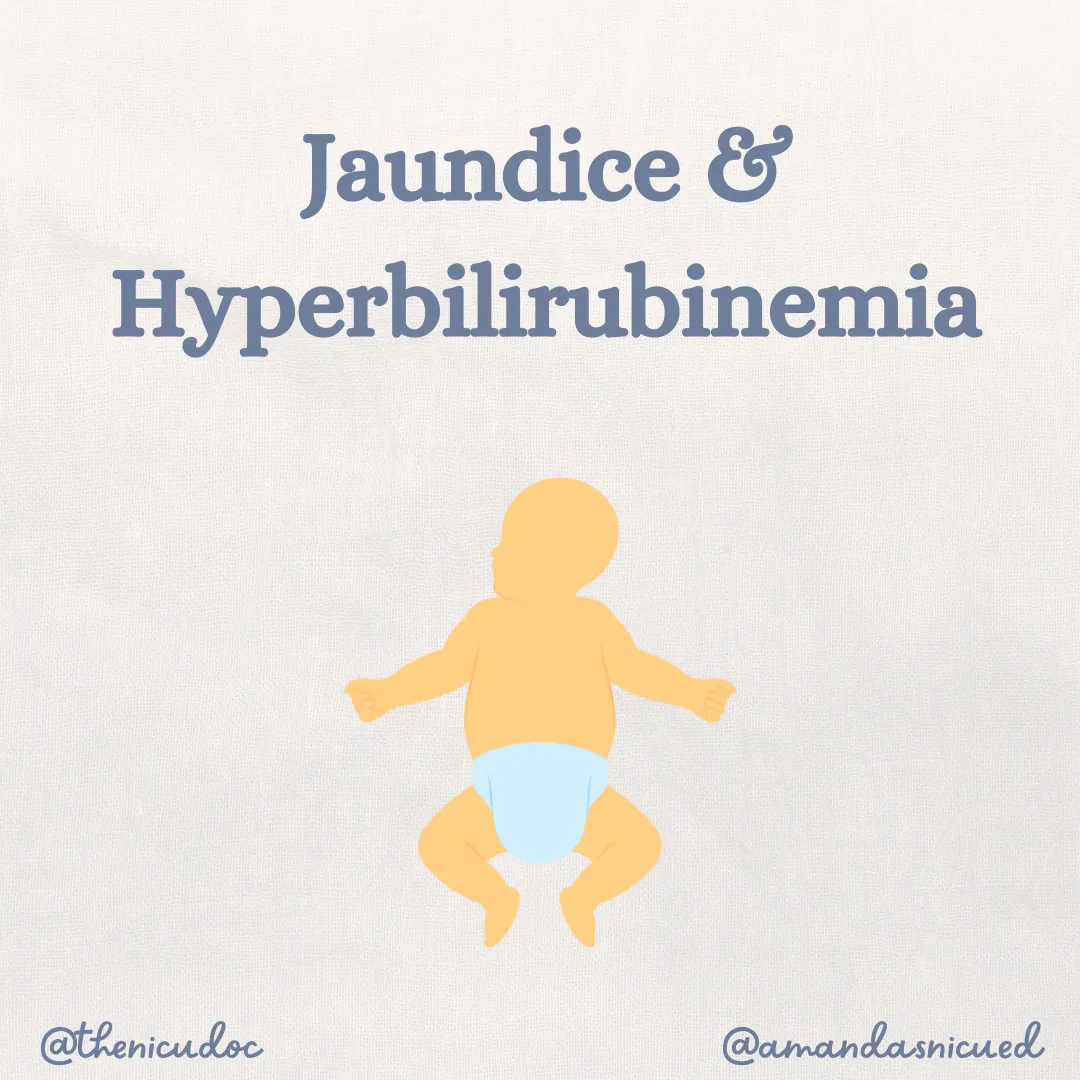 jaundice baby carrtoon with grey blue text that says Jaundice and Hyperbilirubinemia @amandasnicued