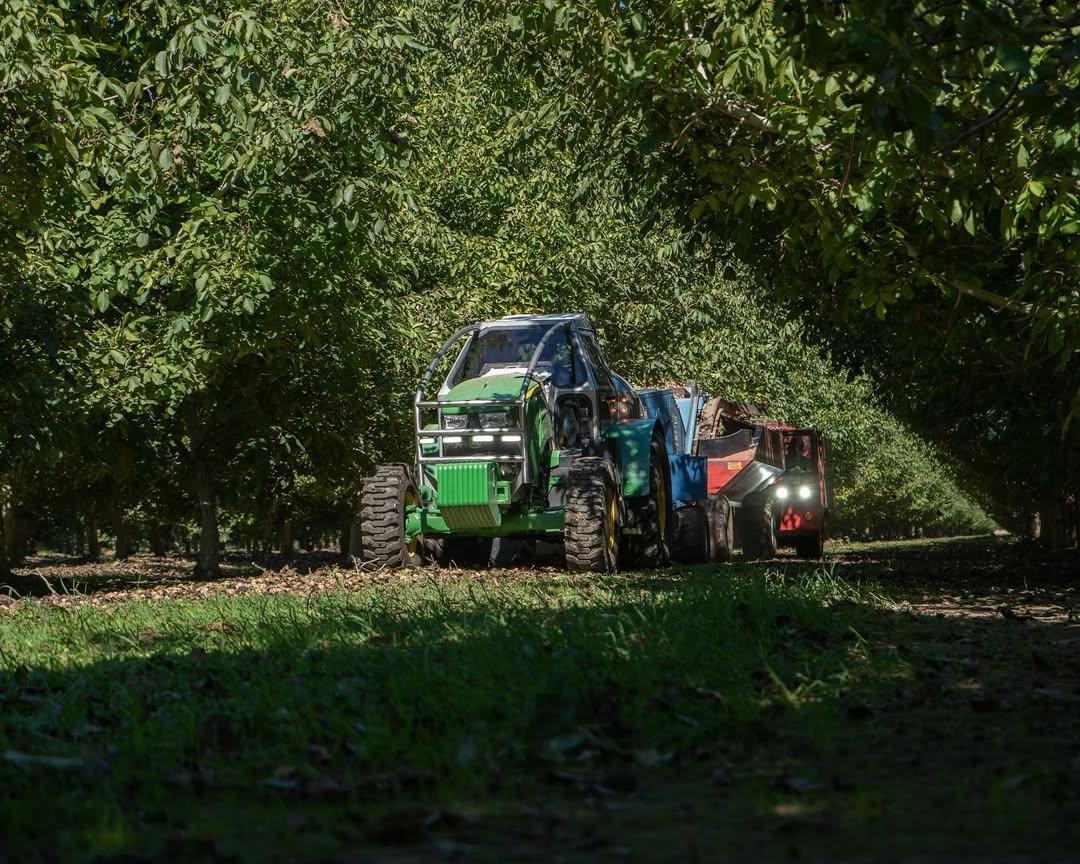 orchard removal service in Northern California