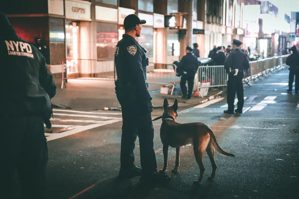 dog with police