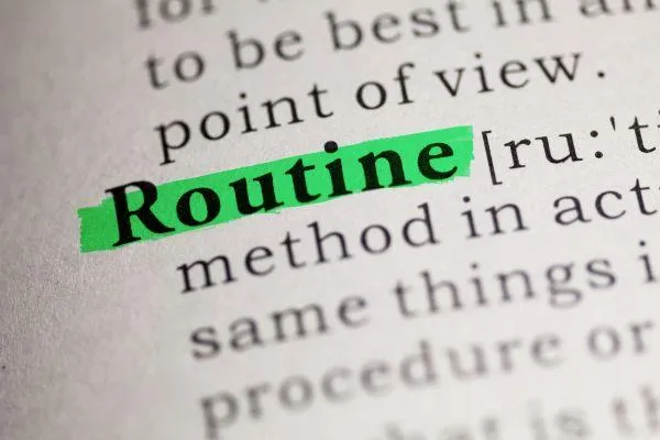 Page of a dictionary with the word routine highlighted in green.