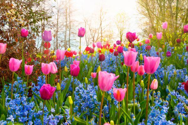 The 8 Things I Love About Spring!