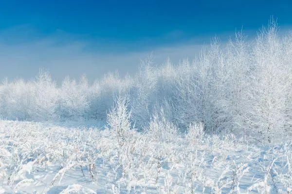 My Best 5 Tips to Get Through January